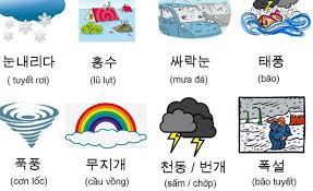 Học Từ Mới Tiếng Hàn Như Thế Nào 2 Copy