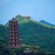 508524914 1139169921576926 617699808891384045 n