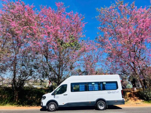 Các gói dịch vụ thuê xe 18 chỗ đi Châu Đốc chính tại Huy Đạt